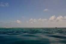 Ponant Cay